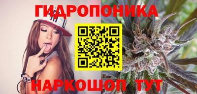 марки nbome Заводоуковск